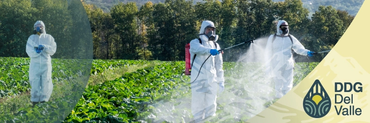 Uso y manejo de plaguicida agrícola